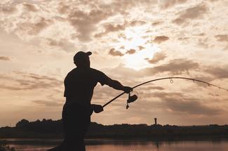 Tailles minimales de capture : le rappel indispensable avant les fêtes
