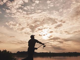 Tailles minimales de capture : le rappel...