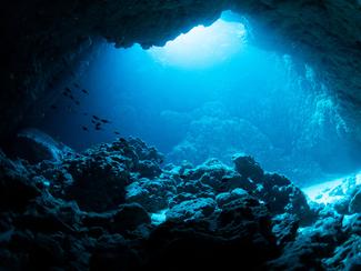 Les sons mystérieux que produisent les fonds...