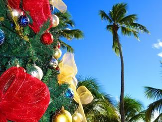 Passer Noël dans les îles de Guadeloupe :...