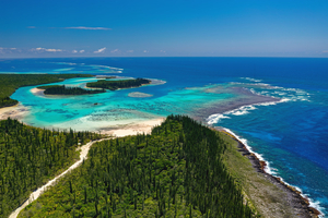 Nouvelle-Calédonie : au cœur des jardins de corail les plus fascinants du Pacifique