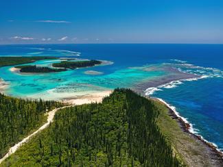 Nouvelle-Calédonie : au cœur des jardins de...