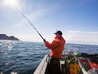 Hors saison, poissons d’exception : l’art de...