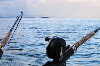 Pêche en Méditerranée en hiver, comprendre la saison froide pour mieux r...