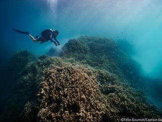 La Polynésie au cœur d’un réseau mondial...