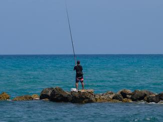 Le rockfishing, l’art de pêcher fin au plus...
