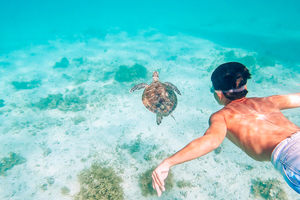 Les eaux cristallines des Philippines, immersion au cœur d’un archipel taillé pour la plongée