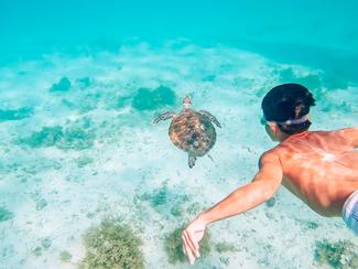 Les eaux cristallines des Philippines,...