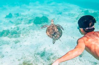 Les eaux cristallines des Philippines, immersion au cœur d’un archipel t...