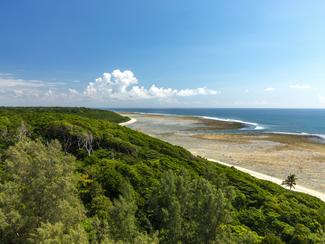 Little Andaman : petite île, grande découverte !
