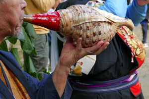 Souffler la mer : pourquoi les coquillages pourraient être les premiers instruments à vent de l’humanité ?