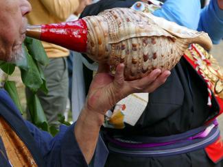 Souffler la mer : pourquoi les coquillages...