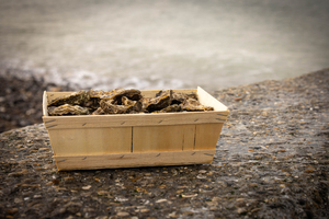 À la veille du réveillon, les huîtres et moules de l’étang de Thau brutalement retirées du marché