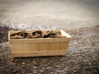 À la veille du réveillon, les huîtres et...