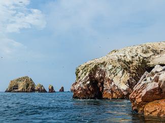Les îles Ballestas, immersion spectaculaire au...