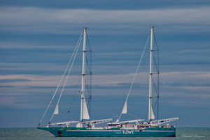 Anemos et Artemis : le café le plus décarboné du monde arrive à la voile