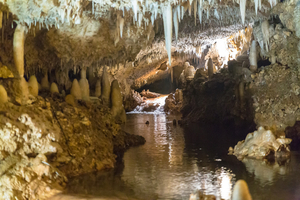 Harrison’s Cave, plongée spectaculaire sous la Barbade