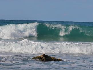 La Méditerranée sous pression : comprendre les...