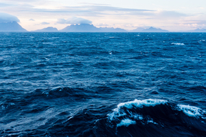 Un traité historique pour protéger la haute mer entre en vigueur en 2026