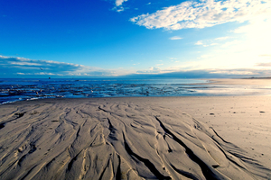 Mer du Nord et Baltique : 2025, année la plus chaude jamais mesurée