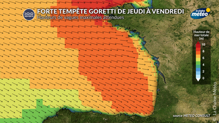 Forte tempete Goretti Forte tempete Goretti