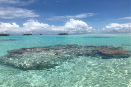 Rangiroa, le plus grand atoll de Polynesie, vu du lagon bleu : patates de corail sous l'eau et motus sur la barriere protectrice de corail