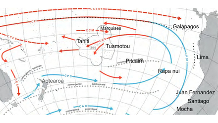 Circulation générale des courants (chauds en rouge, froids en bleu) dans le Pacifique Sud, les vents sont de même direction… Tahiti est à la position 17°40’S 149°28’W. Ecart de 10° entre chaque ligne. D’après (RF) modifié Circulation générale des courants (chauds en rouge, froids en bleu) dans le Pacifique Sud, les vents sont de même direction… Tahiti est à la position 17°40’S 149°28’W. Ecart de 10° entre chaque ligne. D’après (RF) modifié