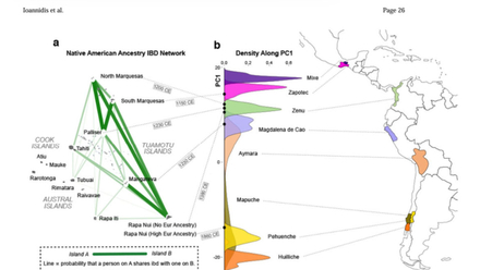 Des Zapotecs mexicains aux Pehuenche chiliens, les gènes amérindiens diffusés en Polynésie et la date d’apparition.