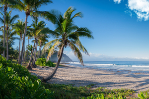 La Réunion, voyage au coeur de l'océan Indien