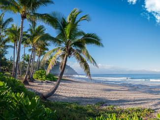 La Réunion, voyage au coeur de l'océan Indien