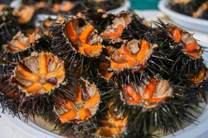 Fête de la Mer à Sausset les Pins 2026 dates programme et oursinade sur la Côte Bleue