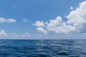 Traité sur la haute mer : un accord historique entre en vigueur pour protéger 60 % de l’Océan mondial