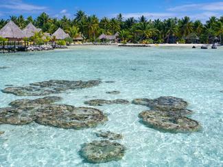 Manihi, « l'île aux perles »