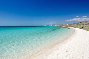 Australie: appel à éviter les plages dans l'est après des attaques de requins