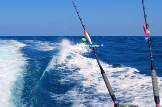 Pêcher à la canne ou au filet depuis votre bateau : quelle méthode chois...