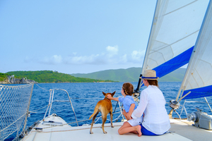 Passeport, quarantaine, gilet : l’art de naviguer avec son animal de compagnie