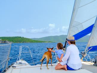 Passeport, quarantaine, gilet : l’art de...