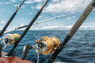 Pêche en eau froide : techniques, espèces et réalités d’une pratique exi...