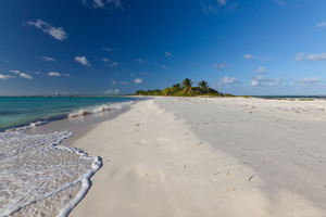 Barbuda, une destination 100 % nature