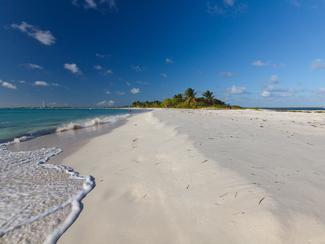 Barbuda, une destination 100 % nature