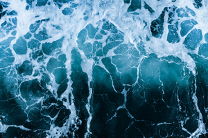 Quand l’océan s’assombrit : ces vagues invisibles capables de plonger la mer dans le noir pendant des mois