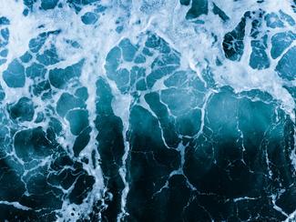 Quand l’océan s’assombrit : ces vagues...