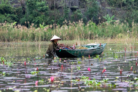 Pêcheuse et son embarcation à fond plat Pêcheuse et son embarcation à fond plat