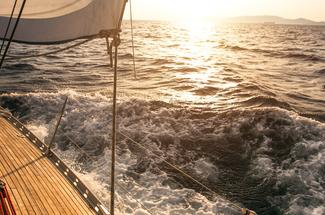 Teck sous pression, liège en embuscade, la révolution silencieuse des po...