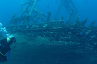 Épaves à portée de palmes : les plus beaux spots de snorkeling sur les c...