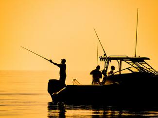 Pêche et changement climatique : ce qui se...
