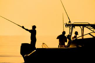 Pêche et changement climatique : ce qui se transforme déjà en mer, vu de...