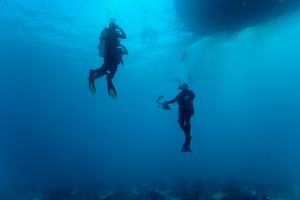 Plonger en hiver : fatigue, froid, déshydratation, les risques silencieux de la saison