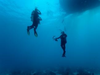 Plonger en hiver : fatigue, froid,...