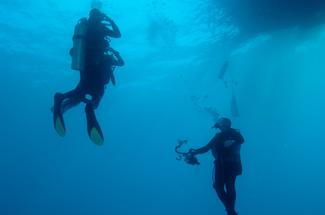 Fatigue, froid, déshydratation : les risques discrets en plongée sous-ma...